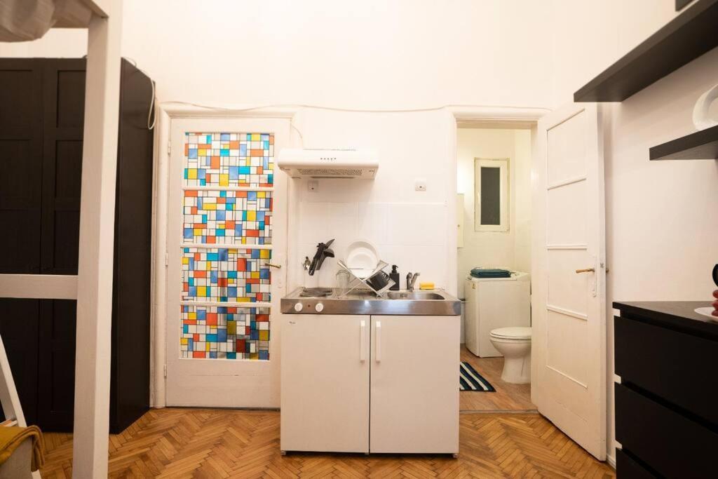 Cozy Studio Near Cismigiu Park Apartment บูคาเรสต์ ภายนอก รูปภาพ