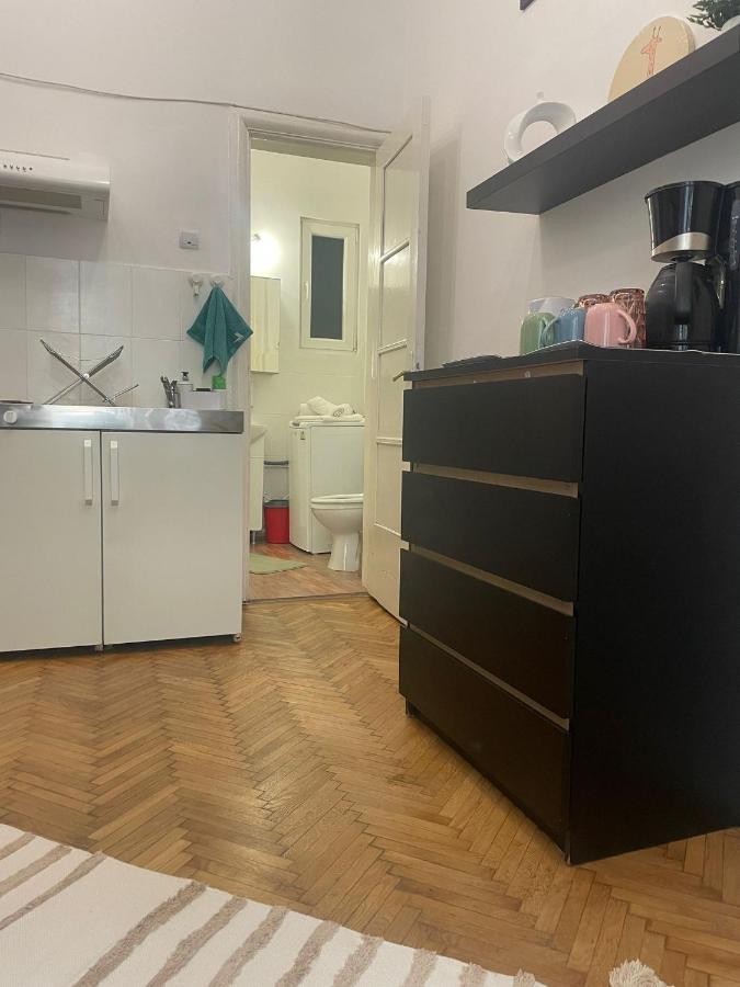 Cozy Studio Near Cismigiu Park Apartment บูคาเรสต์ ภายนอก รูปภาพ