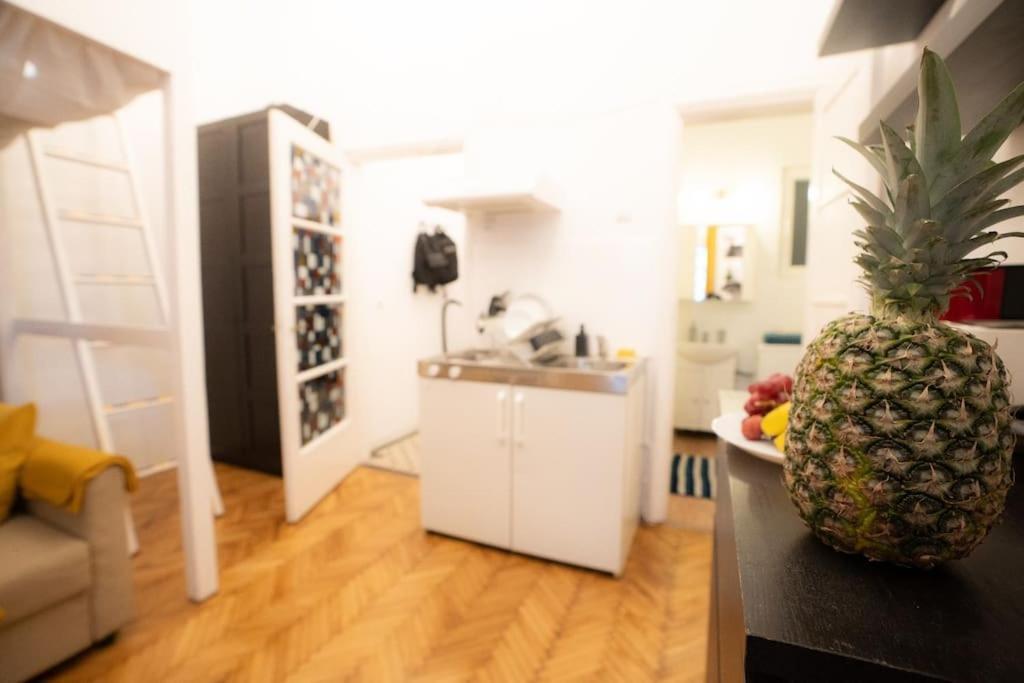 Cozy Studio Near Cismigiu Park Apartment บูคาเรสต์ ภายนอก รูปภาพ