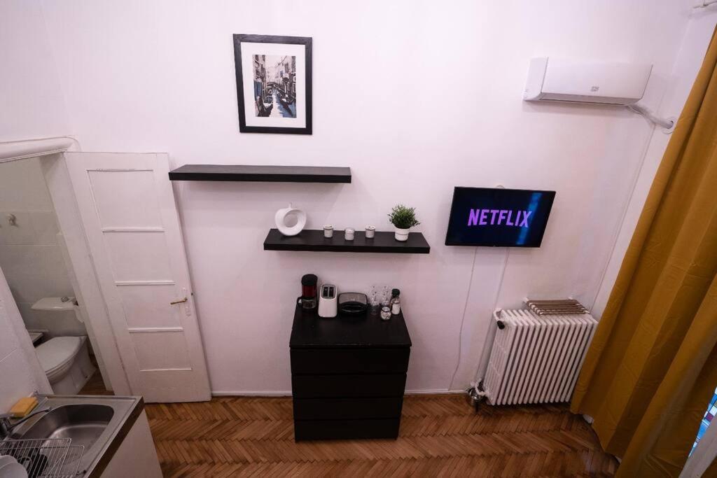 Cozy Studio Near Cismigiu Park Apartment บูคาเรสต์ ภายนอก รูปภาพ